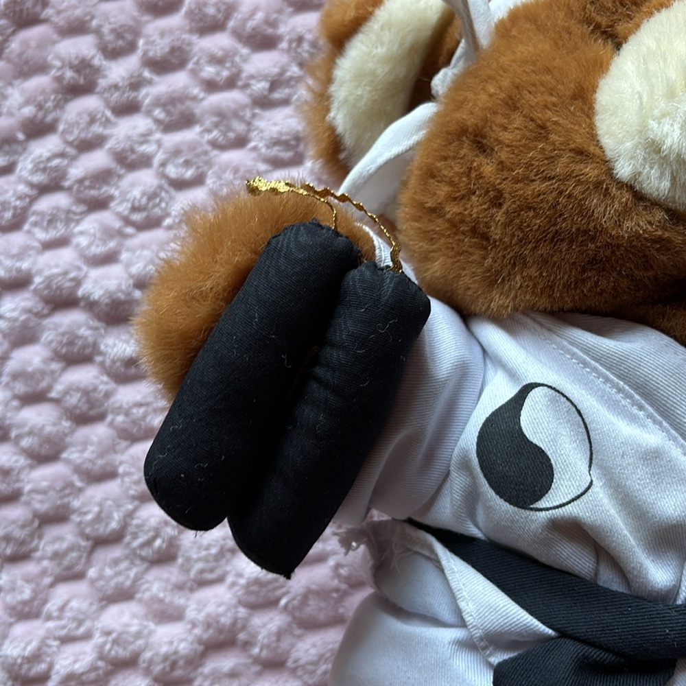 Kung Fu Bear - Picture 3 of 8